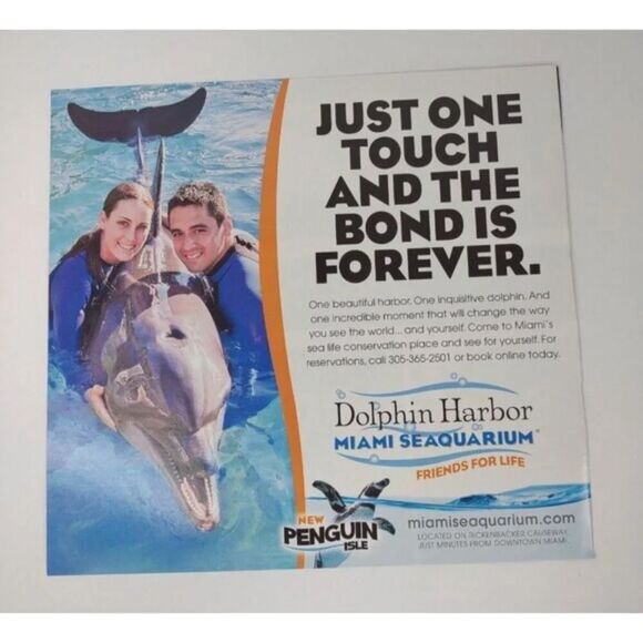 Dolphin Harbor Miami Seaquarium Florida Print ad - Picture 2 of 5